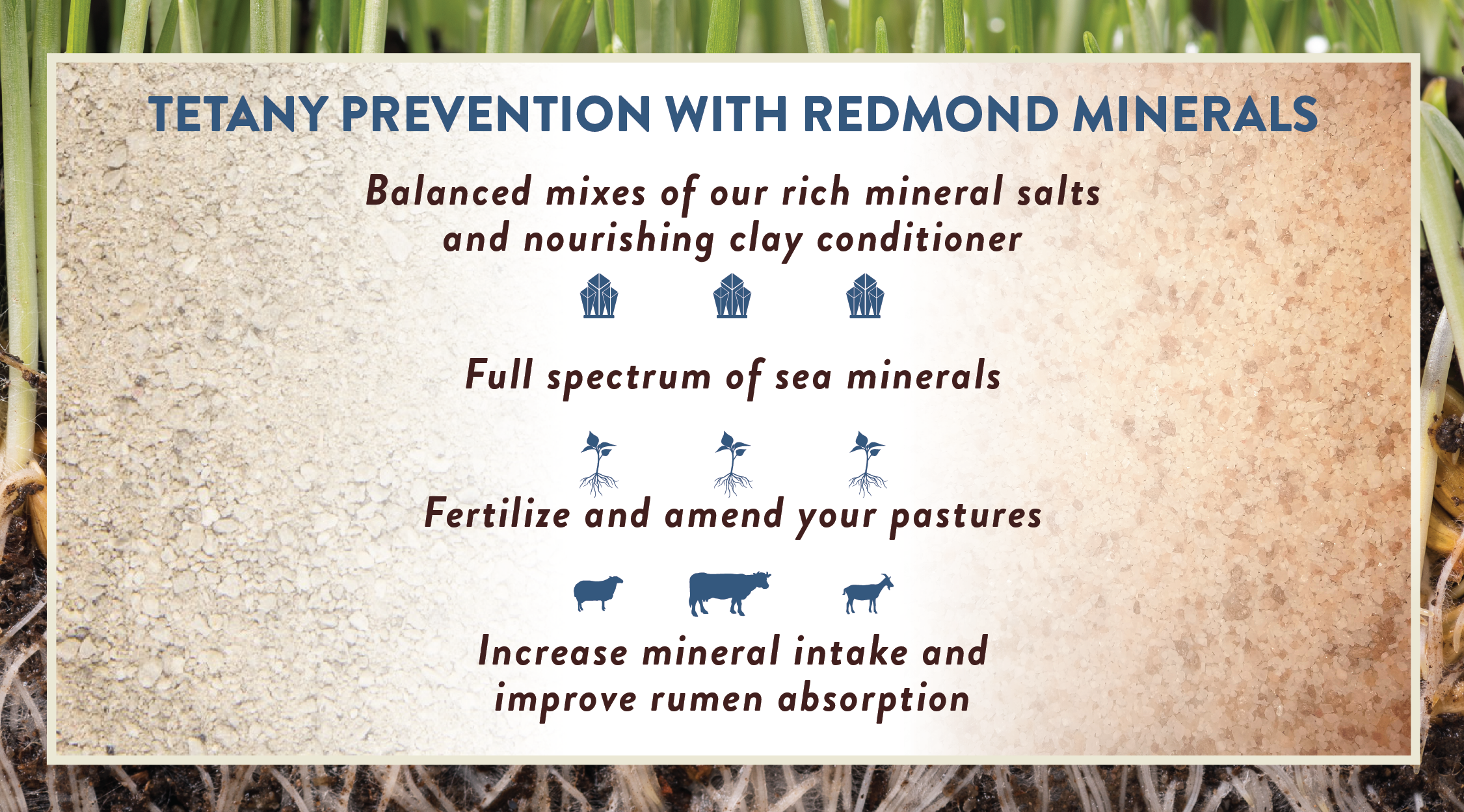 Preventing Grass Tetany - Natural Methods For Preventing Grass From Being Eaten